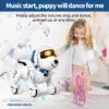 Toy Manufacturer China 2024 Remote Control Dog Toy Smart 360 Rolling-ove Smart Programmable Intelligent Walking Dancing Rc Robot Dog - Image 23