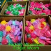 Toy Wholesaler China Tik Tok Stress Relief 3D Elastic Fidget Toy 3D Fidget Worm Toy - Image 25