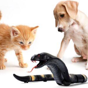 Wholesale Plastic Electronic Toy Outdoor Remote Control Snake Toy Rc Animals for Kids - Image 15