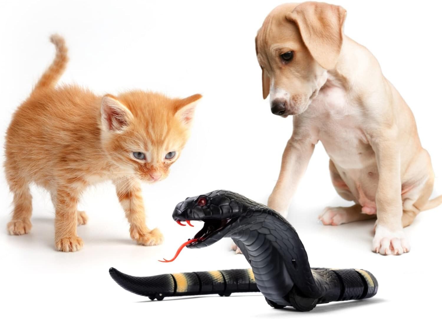 Wholesale Plastic Electronic Toy Outdoor Remote Control Snake Toy Rc Animals for Kids - Image 5