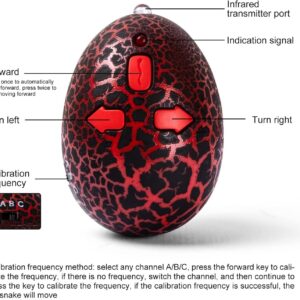 Wholesale Plastic Electronic Toy Outdoor Remote Control Snake Toy Rc Animals for Kids - Image 21