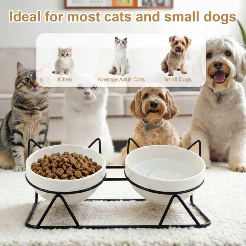 Elevated Tilted Cat Bowls for Indoor Cats - Image 7