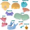 STEM Toy Medical Science Anatomy 17pcs Human Skull Model with 10 Educational Cards DIY 3D Anatomy Puzzle Toy - Image 20