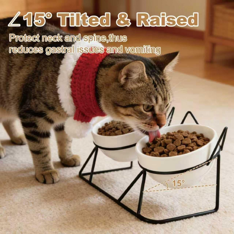 Elevated Tilted Cat Bowls for Indoor Cats - Image 5