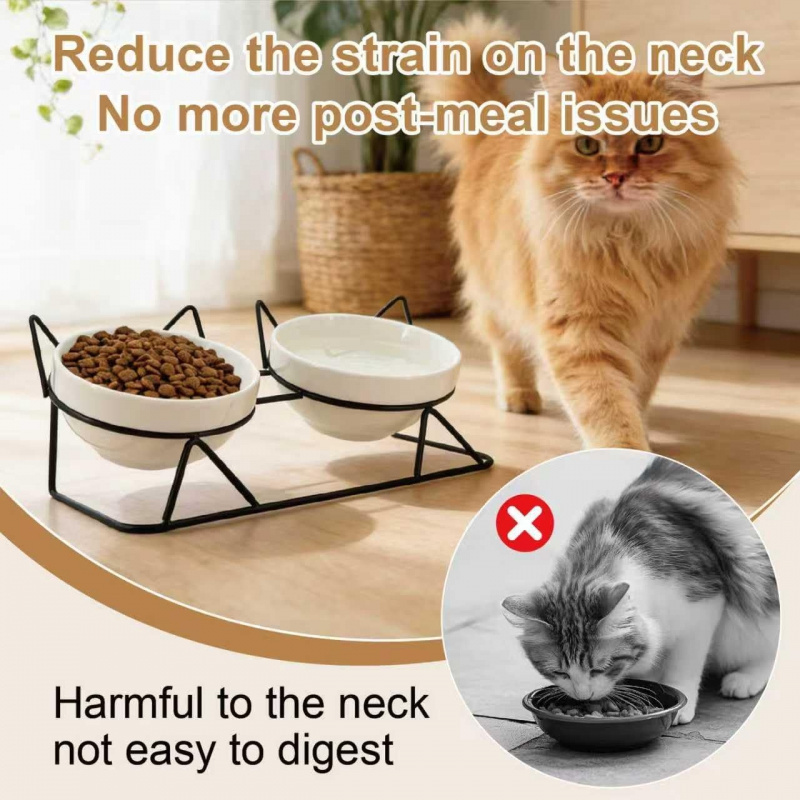 Elevated Tilted Cat Bowls for Indoor Cats - Image 6