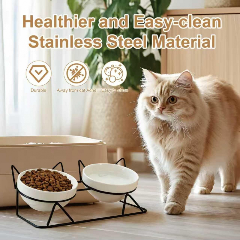 Elevated Tilted Cat Bowls for Indoor Cats - Image 8